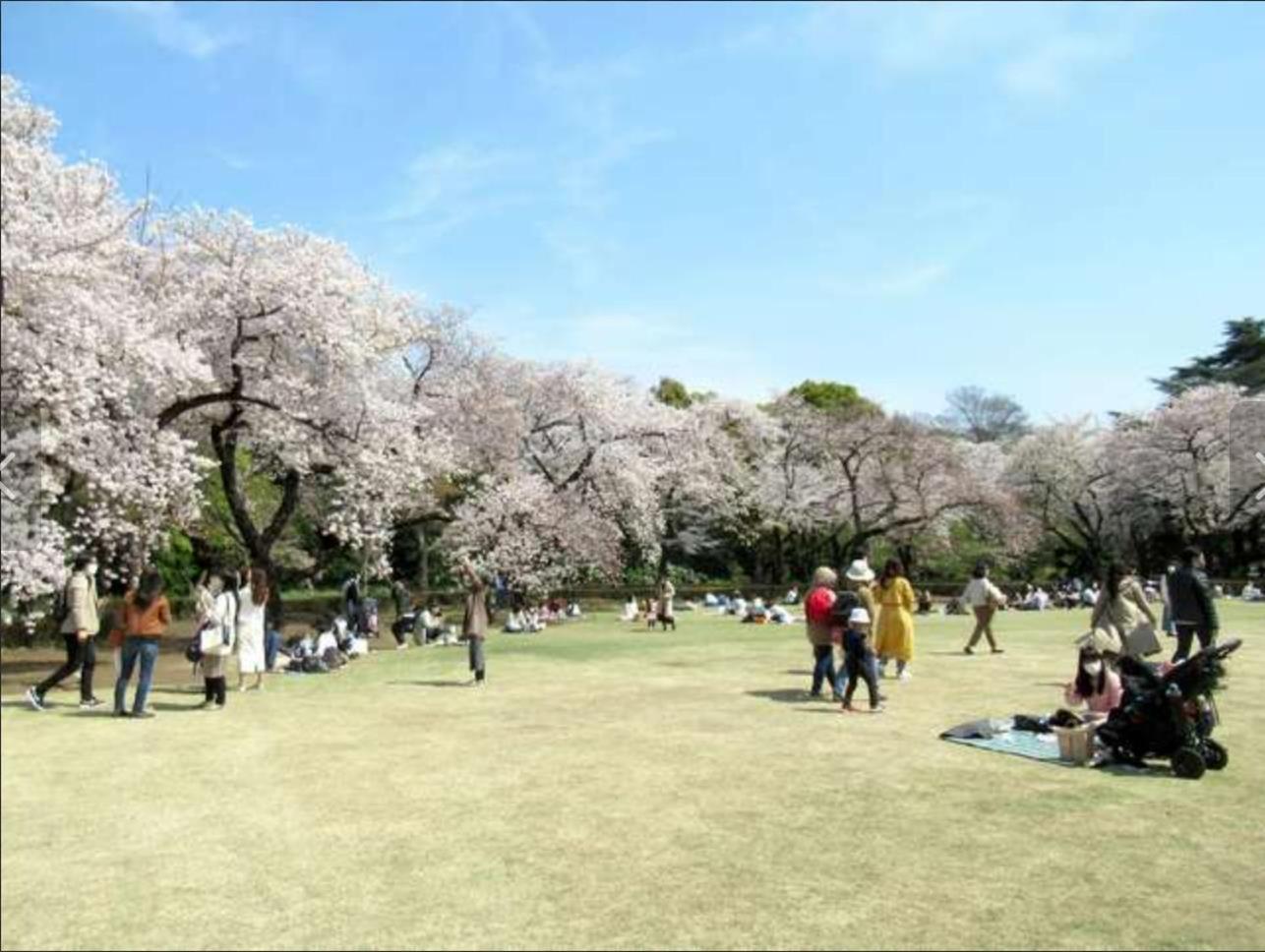 诚信东新宿 Tokyo Bagian luar foto