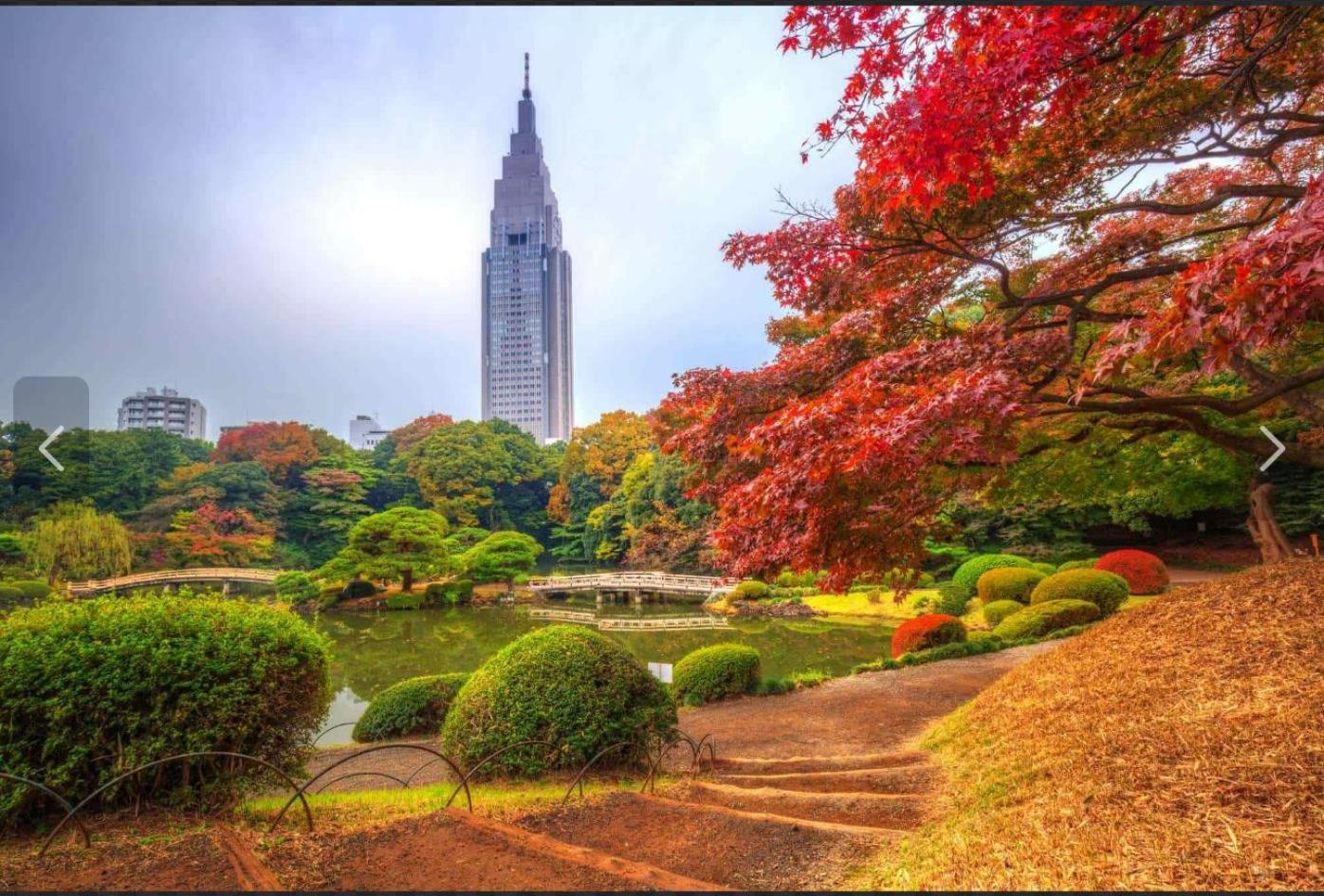 诚信东新宿 Tokyo Bagian luar foto